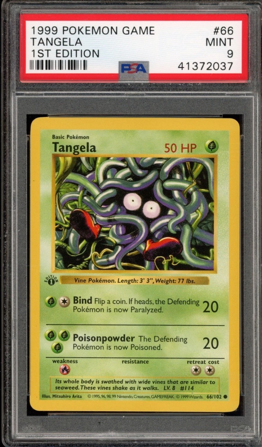 Tangela