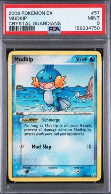 MUDKIP
