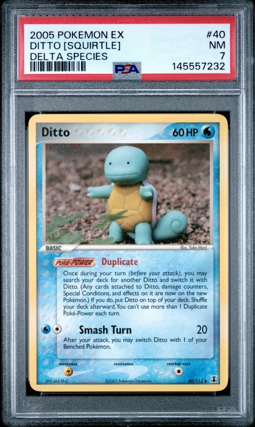 Ditto [Squirtle]