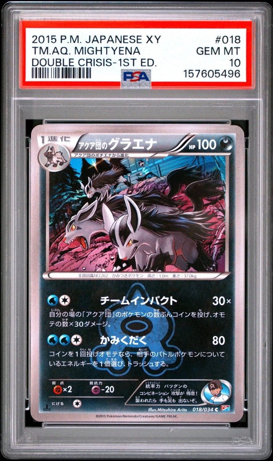 TM.AQ. MIGHTYENA