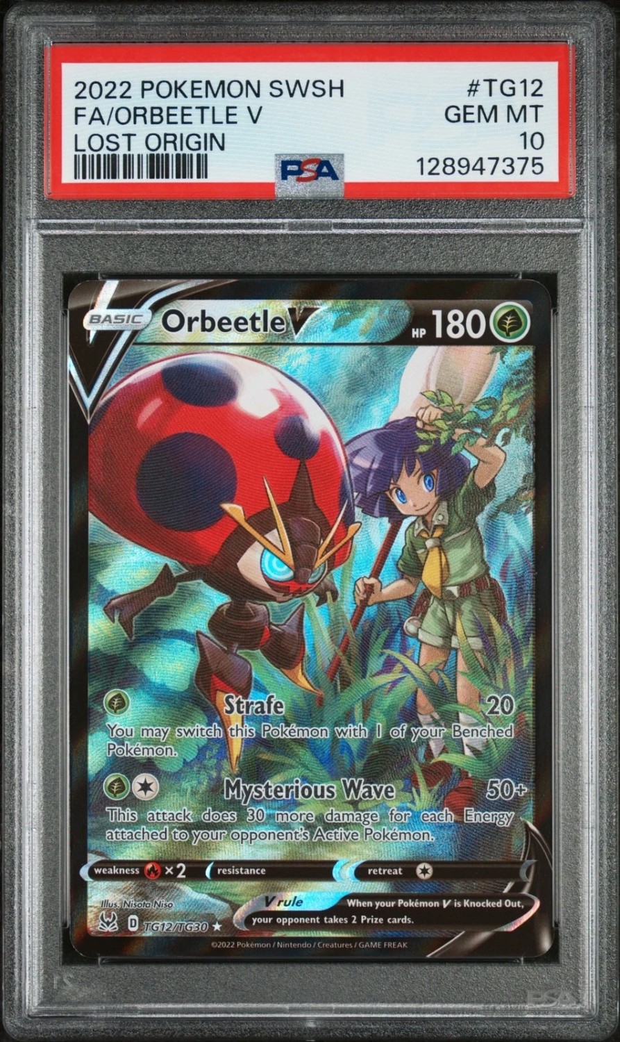 Orbeetle V