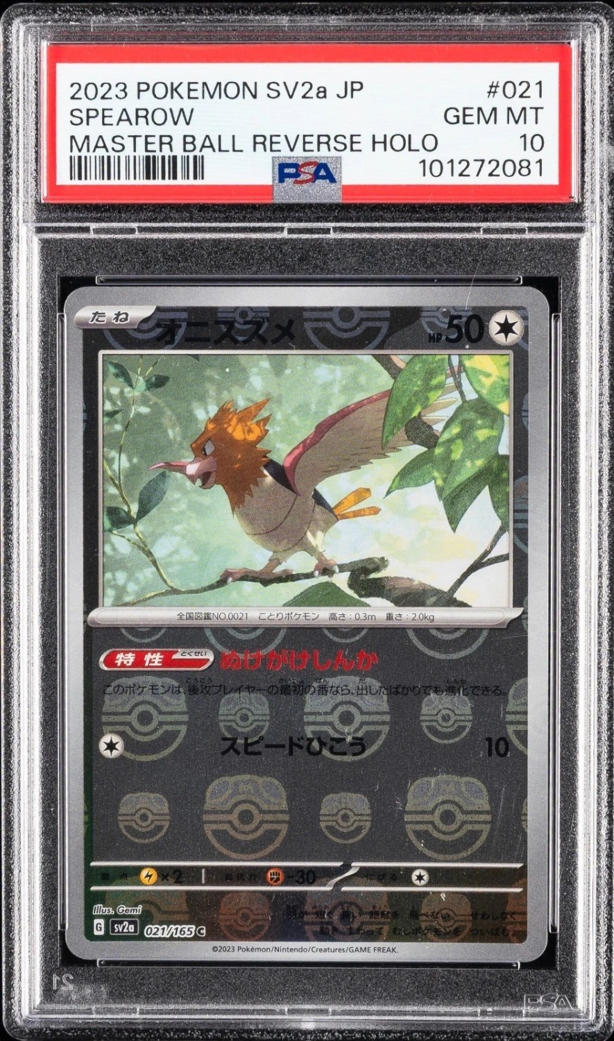 Spearow