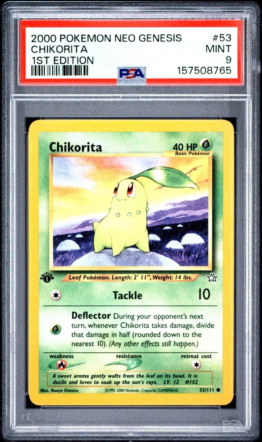 Chikorita