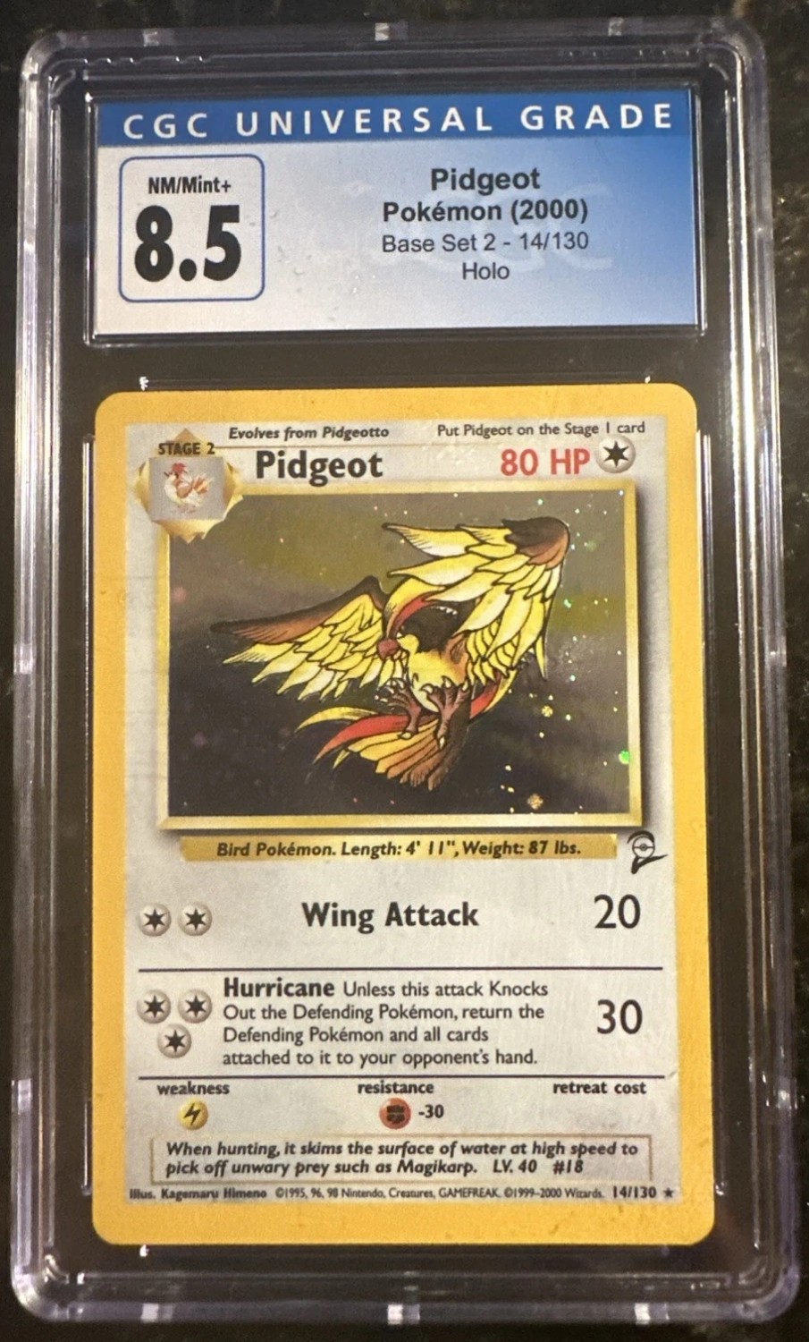 Pidgeot