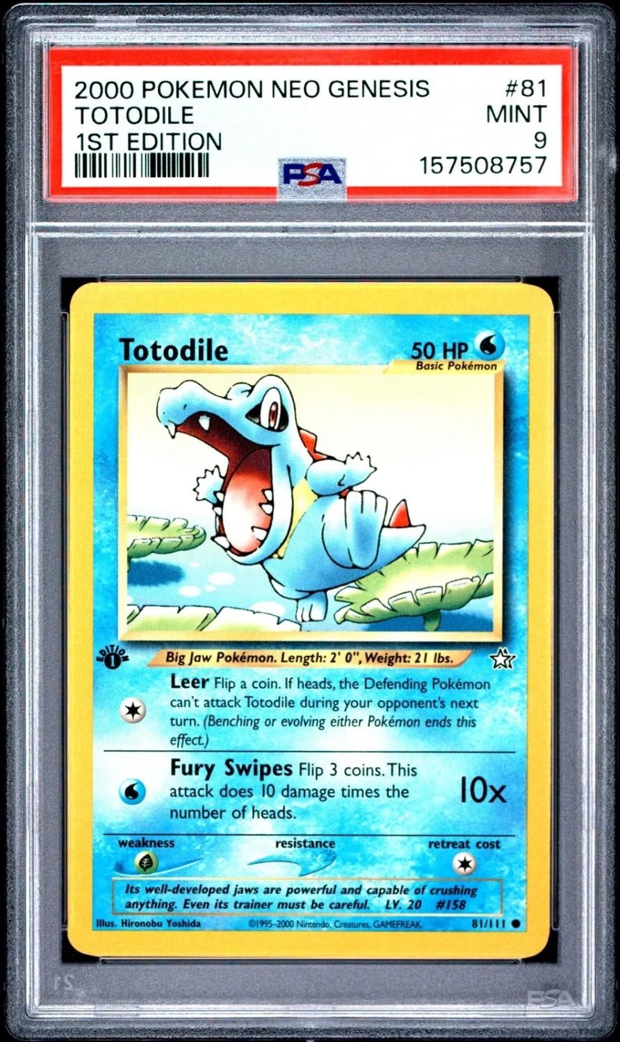 Totodile