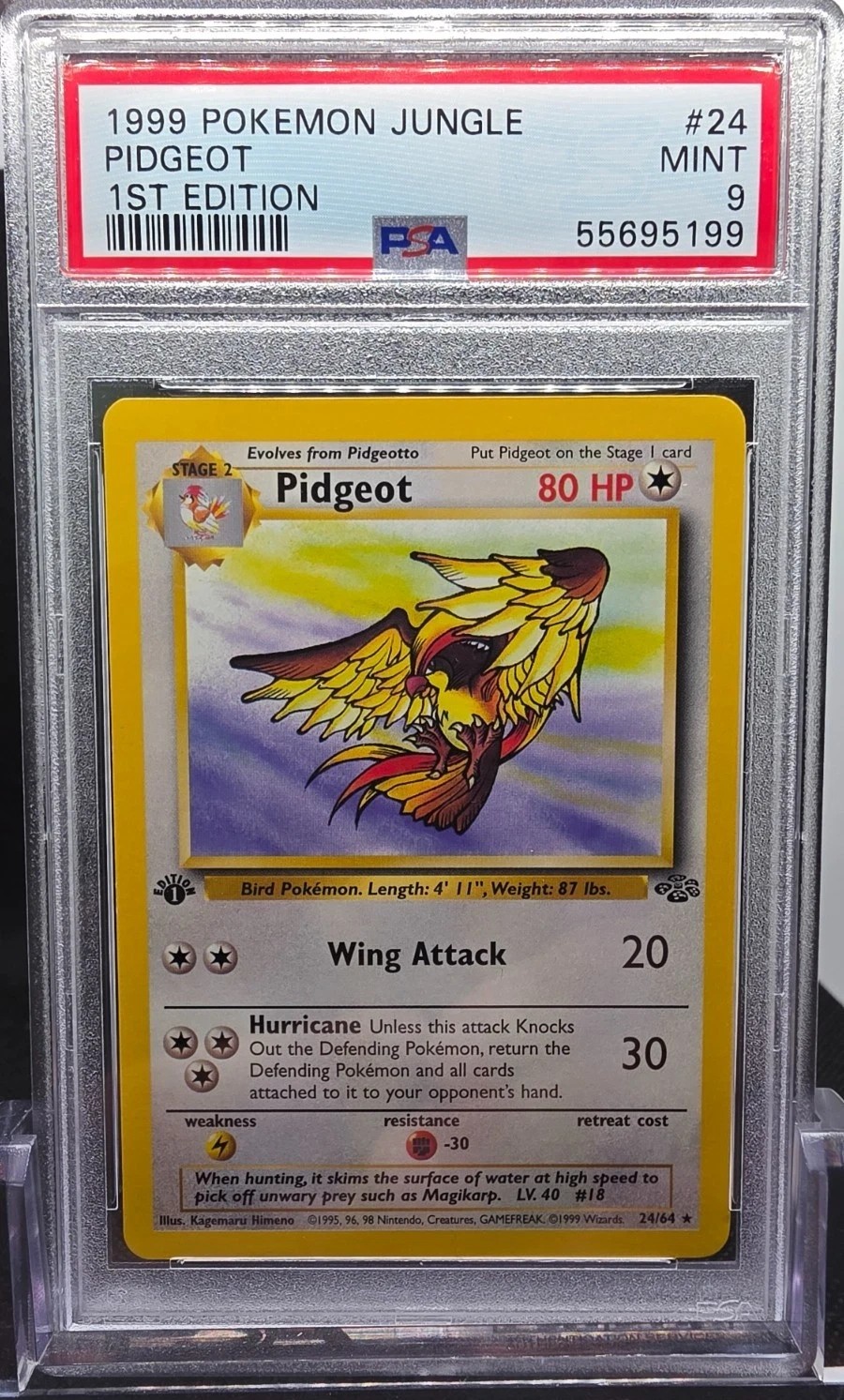 Pidgeot