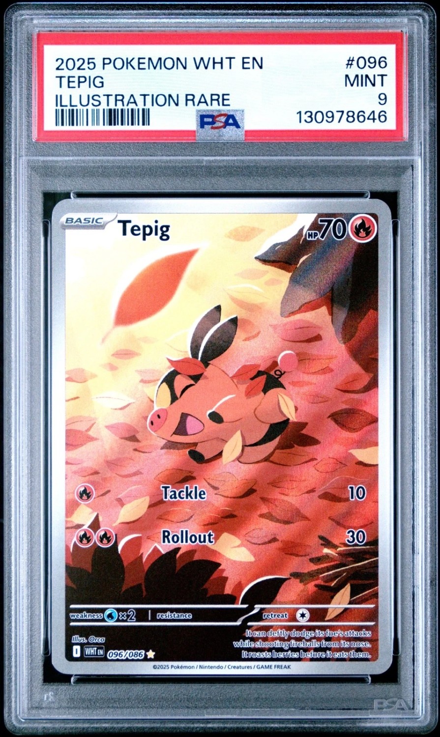 Tepig