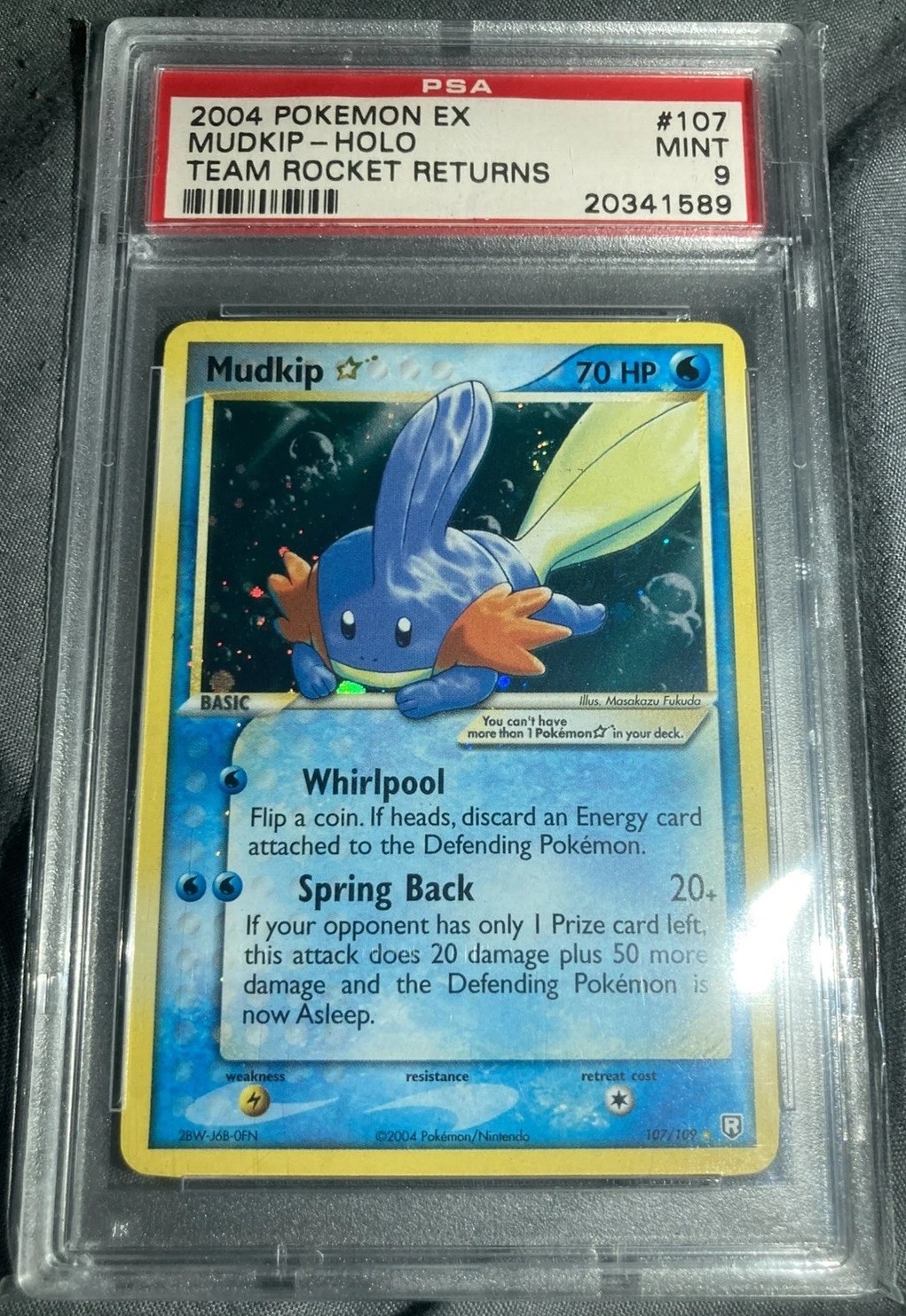 Mudkip