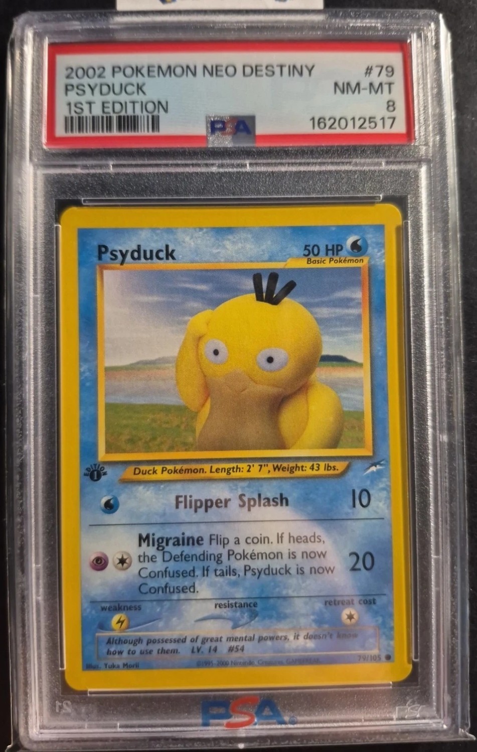 Psyduck