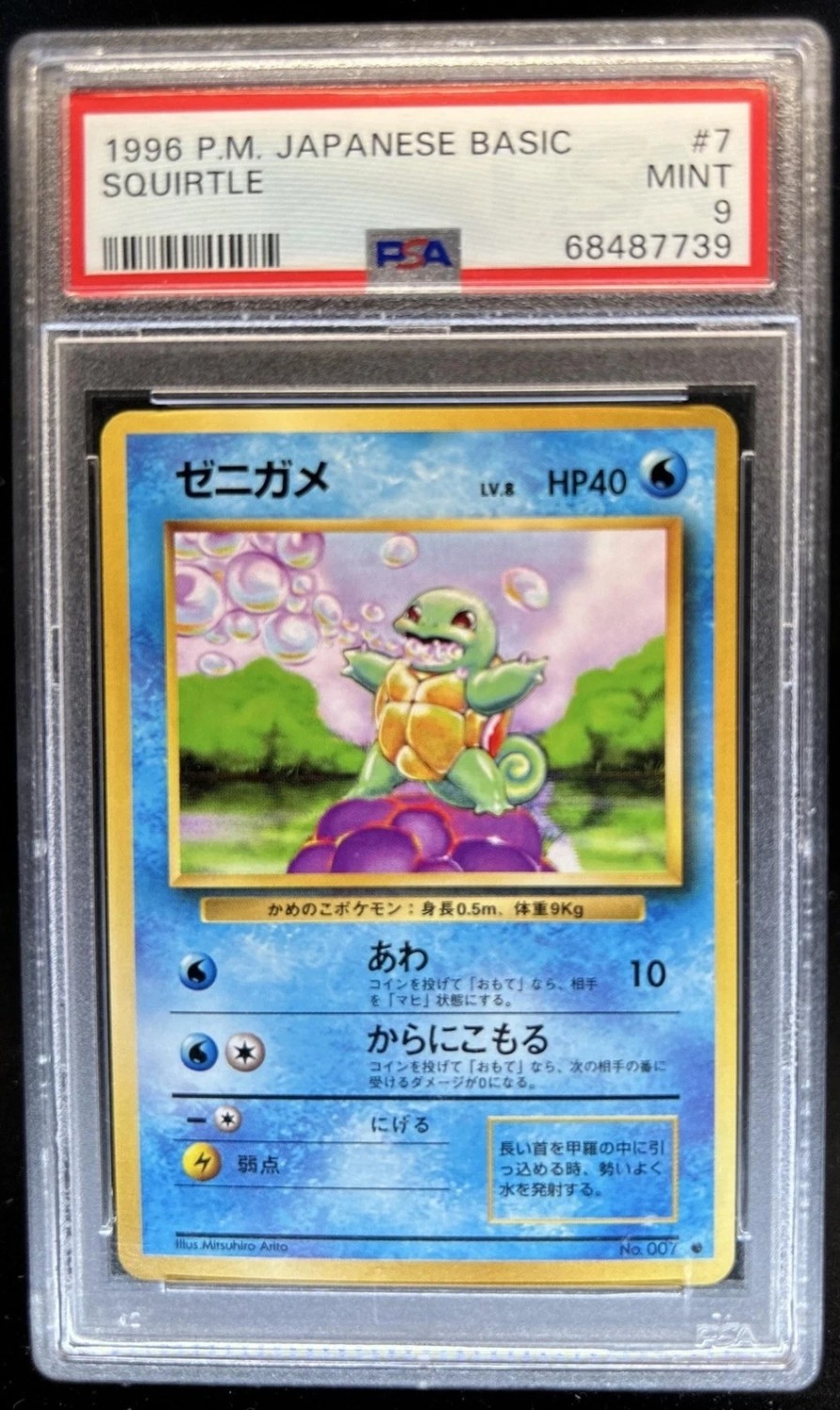 Squirtle