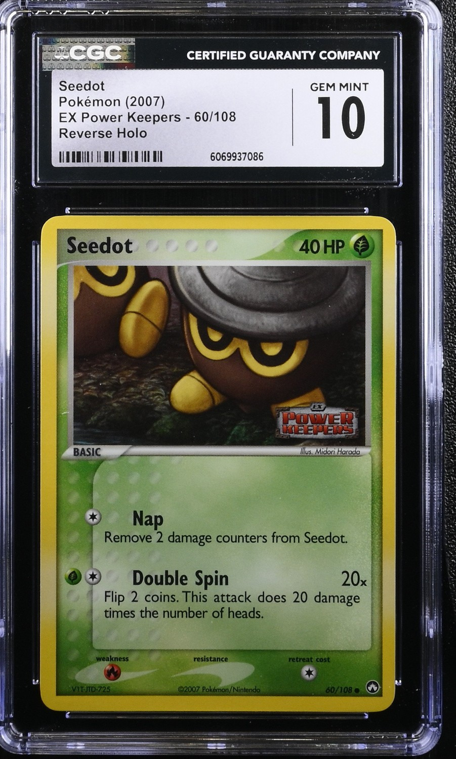 Seedot