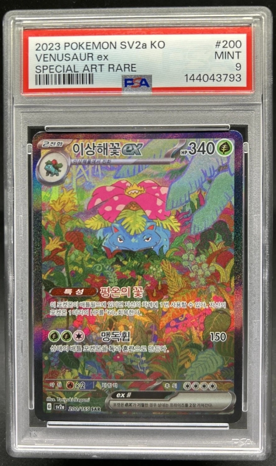 VENUSAUR ex