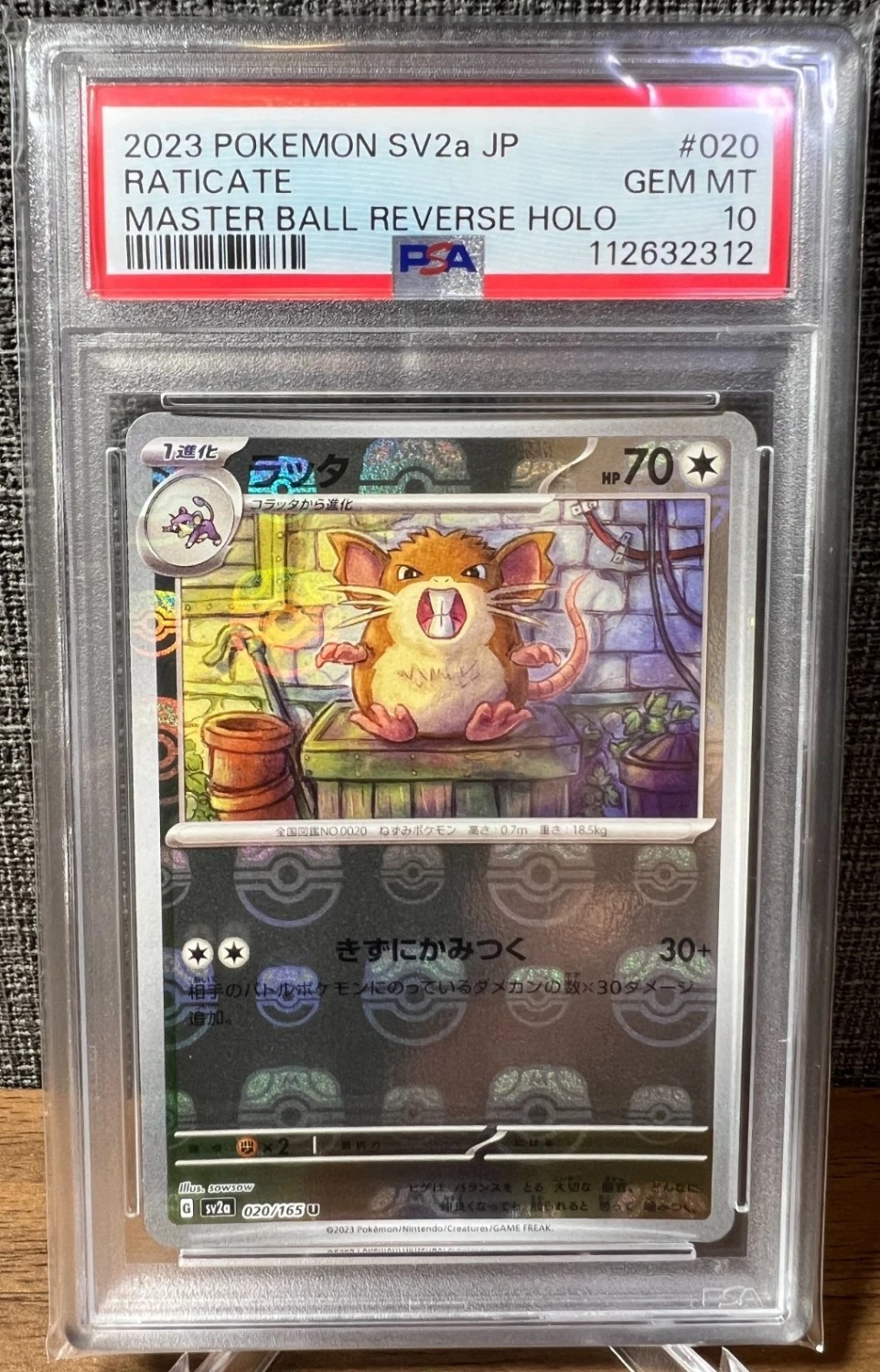 Raticate
