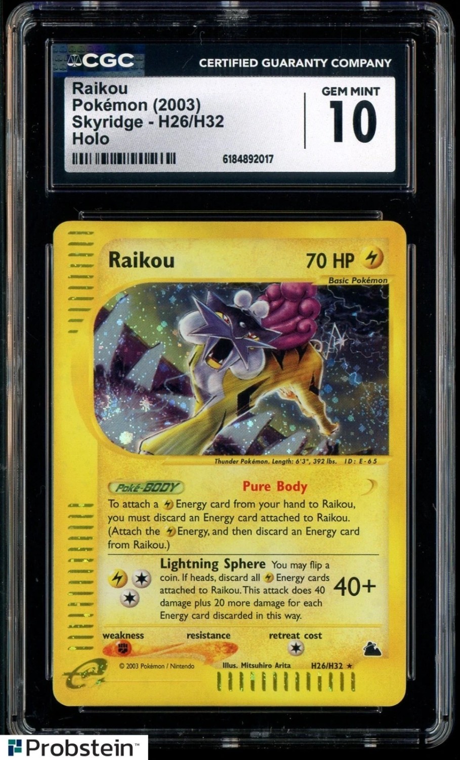 Raikou