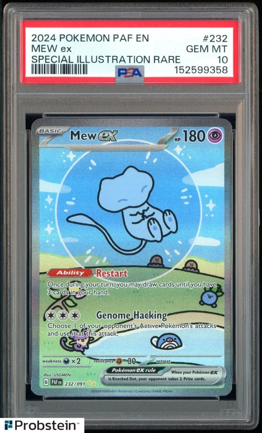 MEW ex