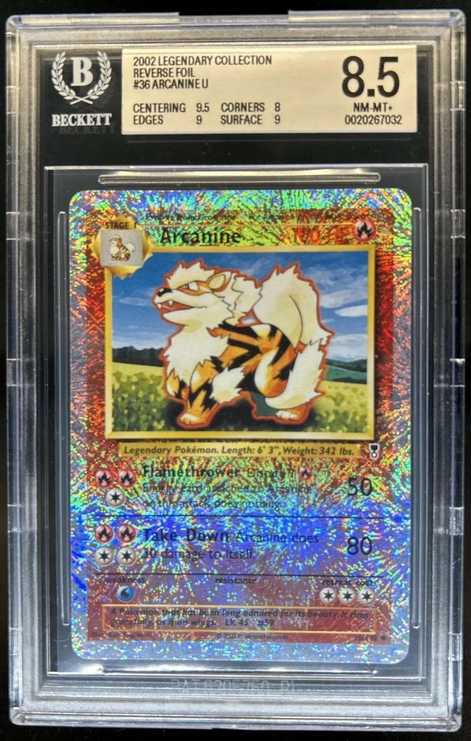 Arcanine