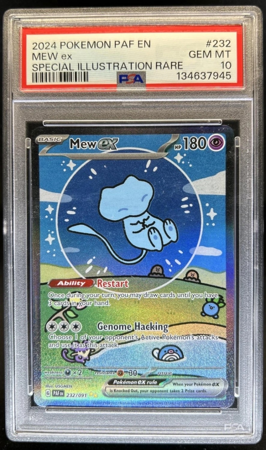 MEW ex
