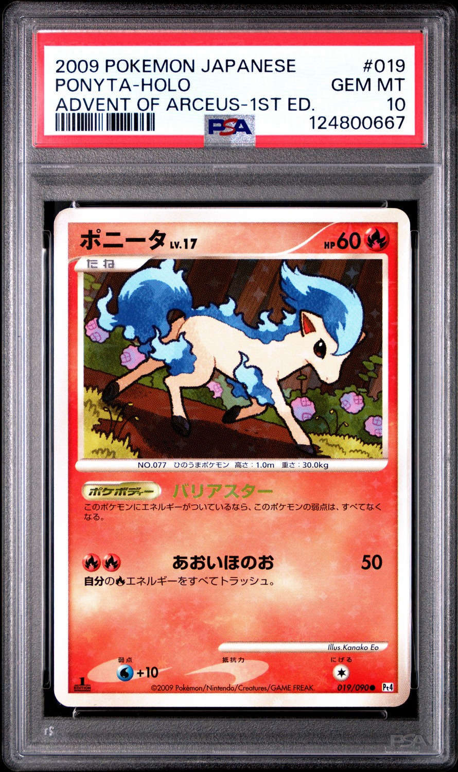 Ponyta