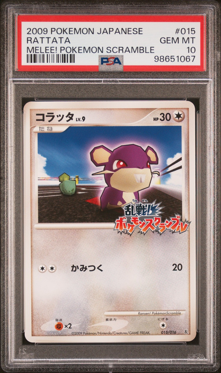 Rattata
