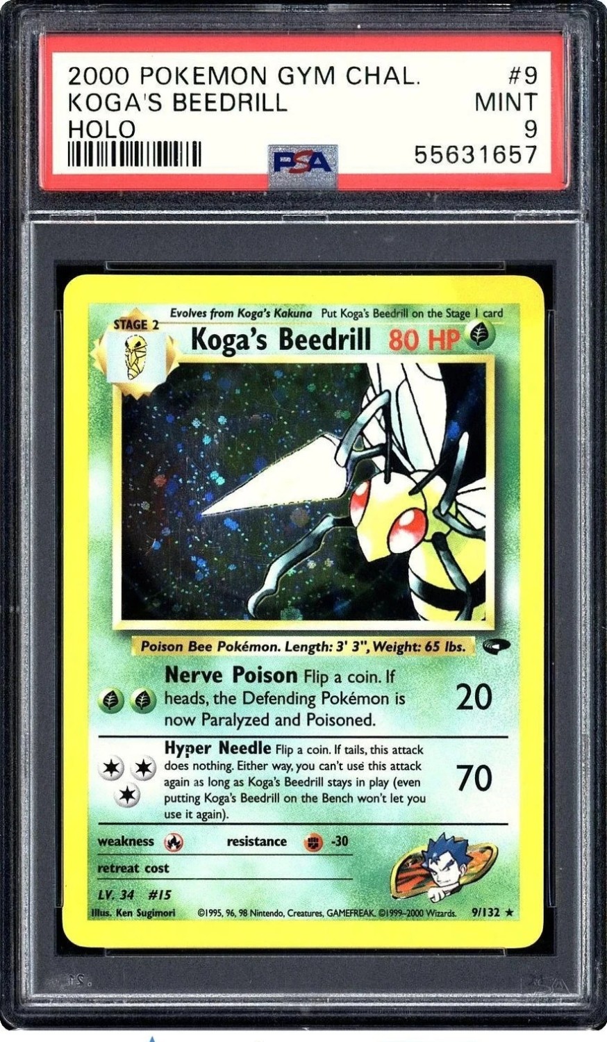 Koga's Beedrill