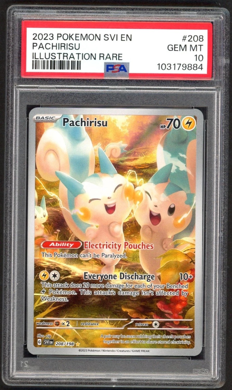 Pachirisu