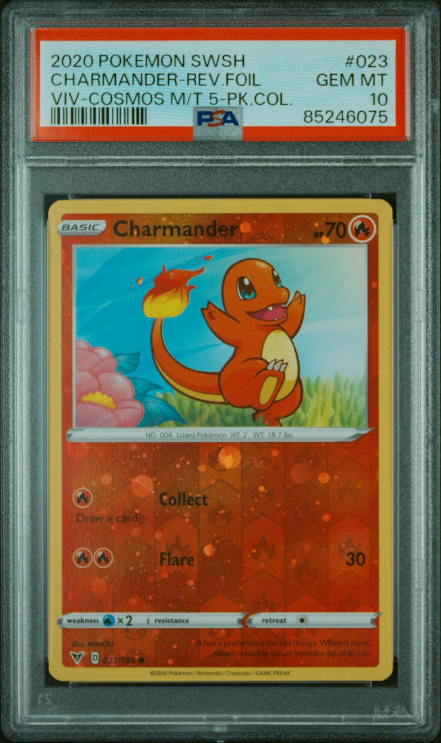 CHARMANDER