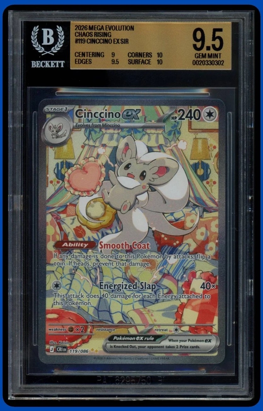 CINCCINO ex