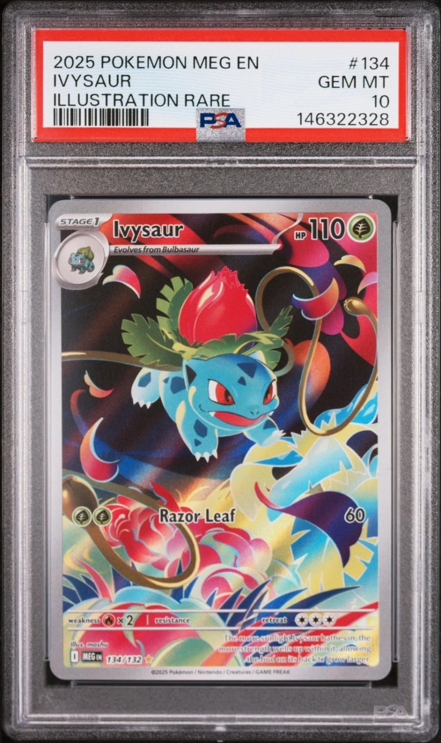IVYSaur
