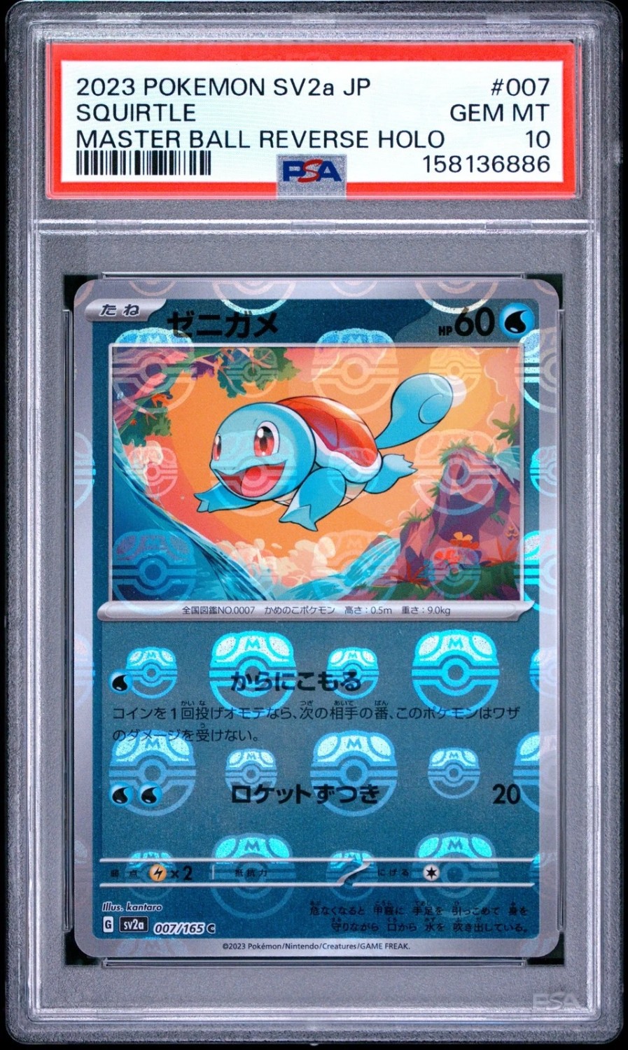 Squirtle