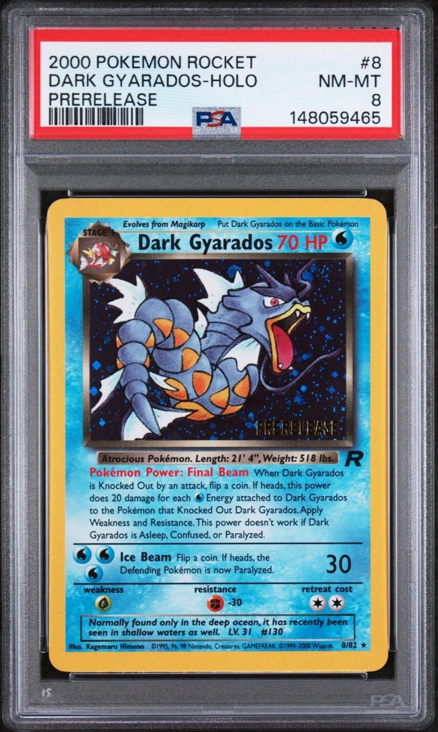 Dark Gyarados
