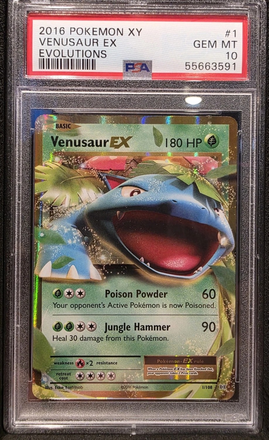 Venusaur EX