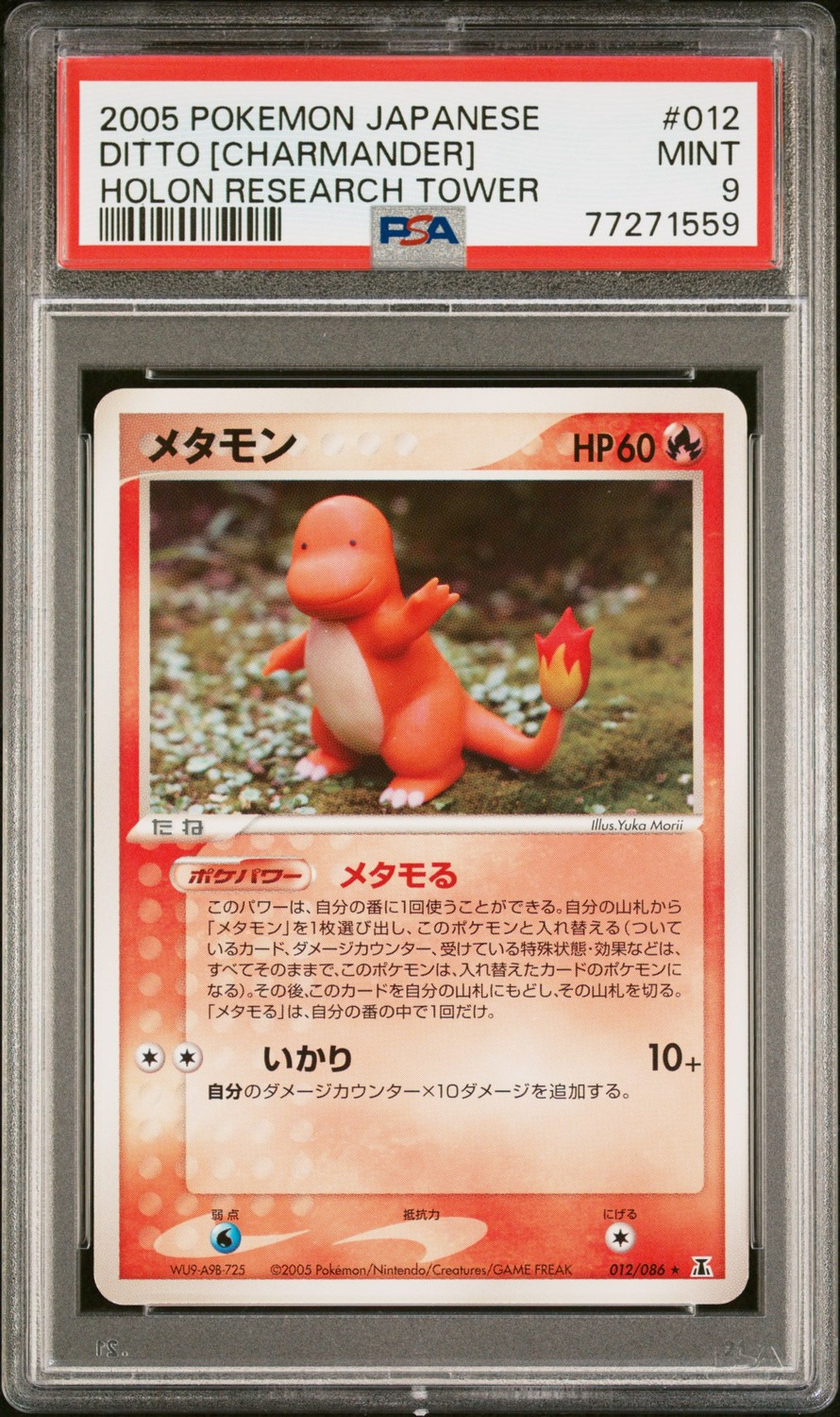 DITTO [CHARMANDER]