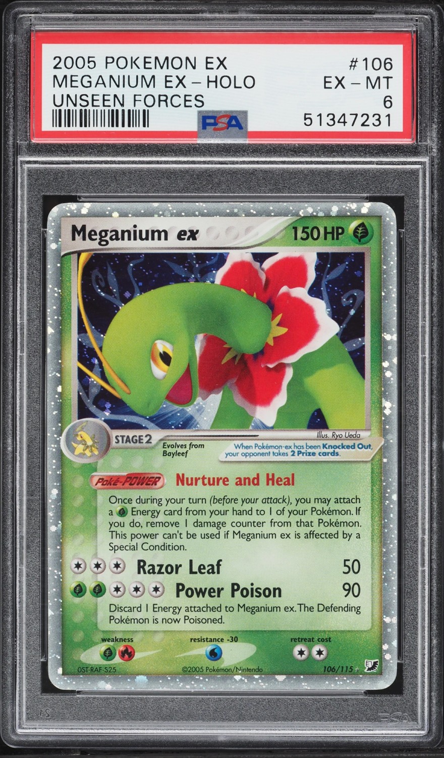 Meganium EX