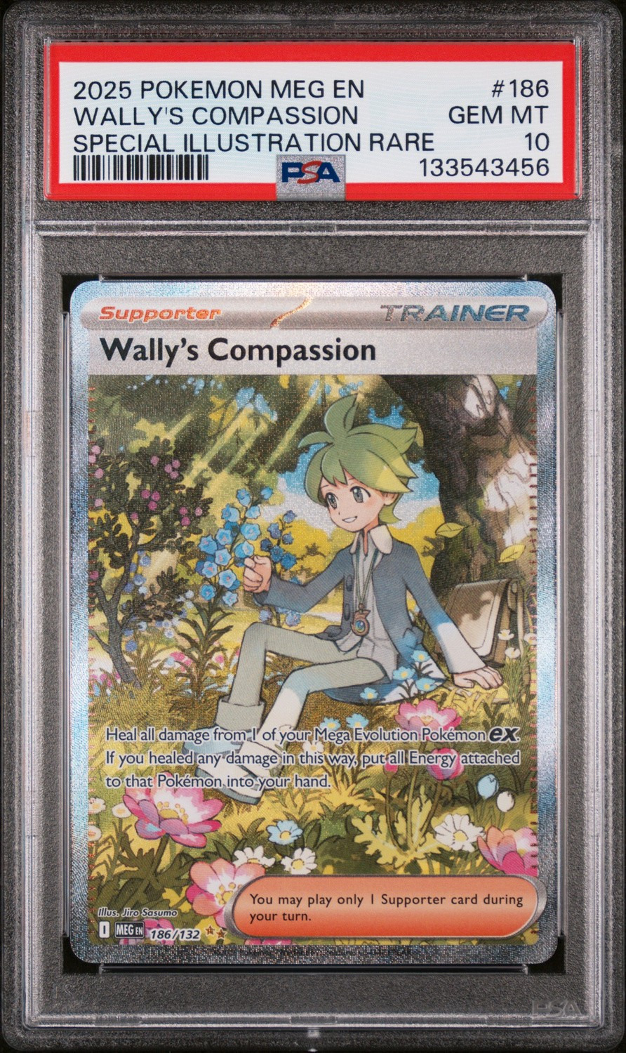 Wally's Compassion