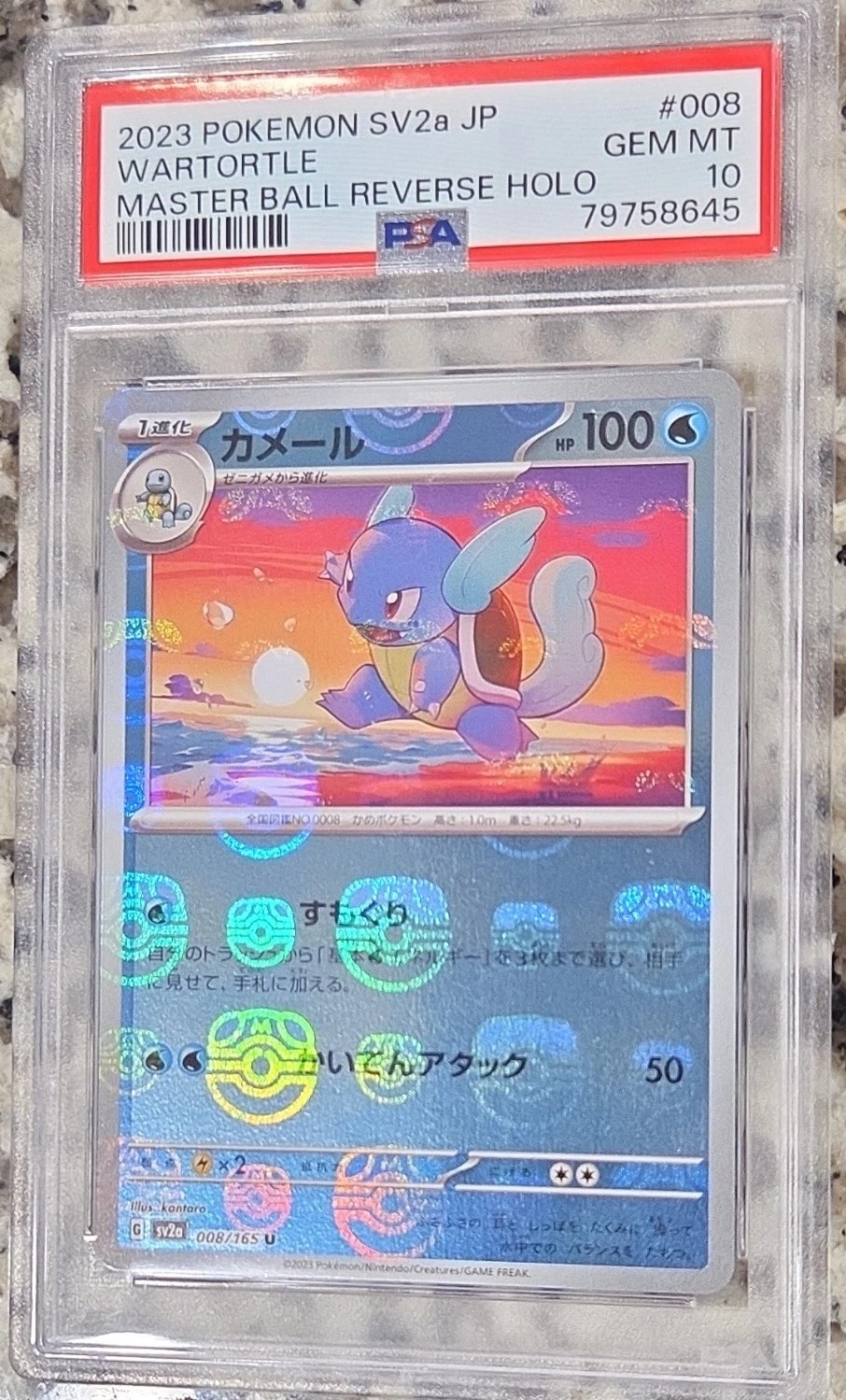 Wartortle