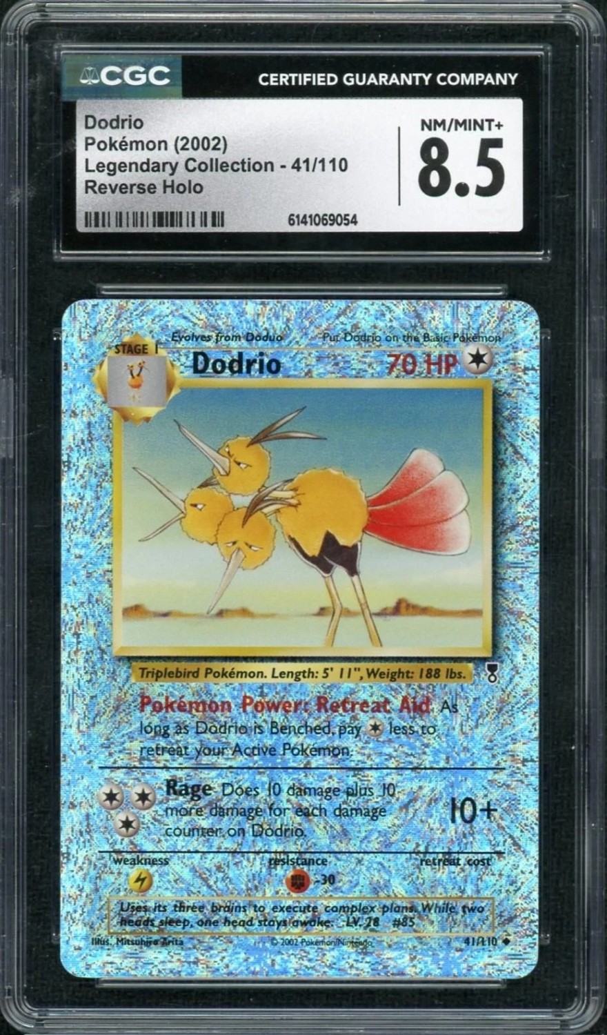 Dodrio