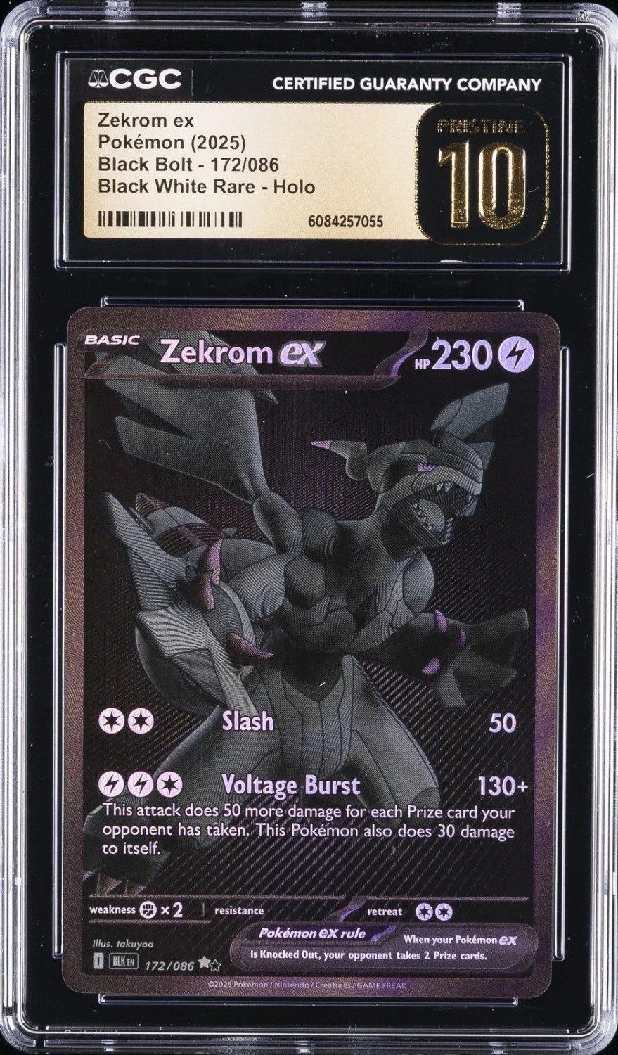 ZEKROM ex