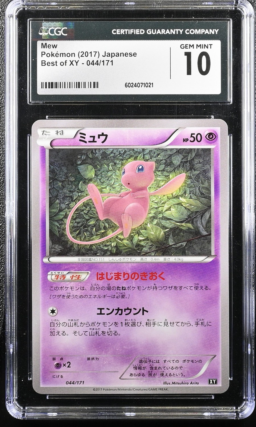 MEW