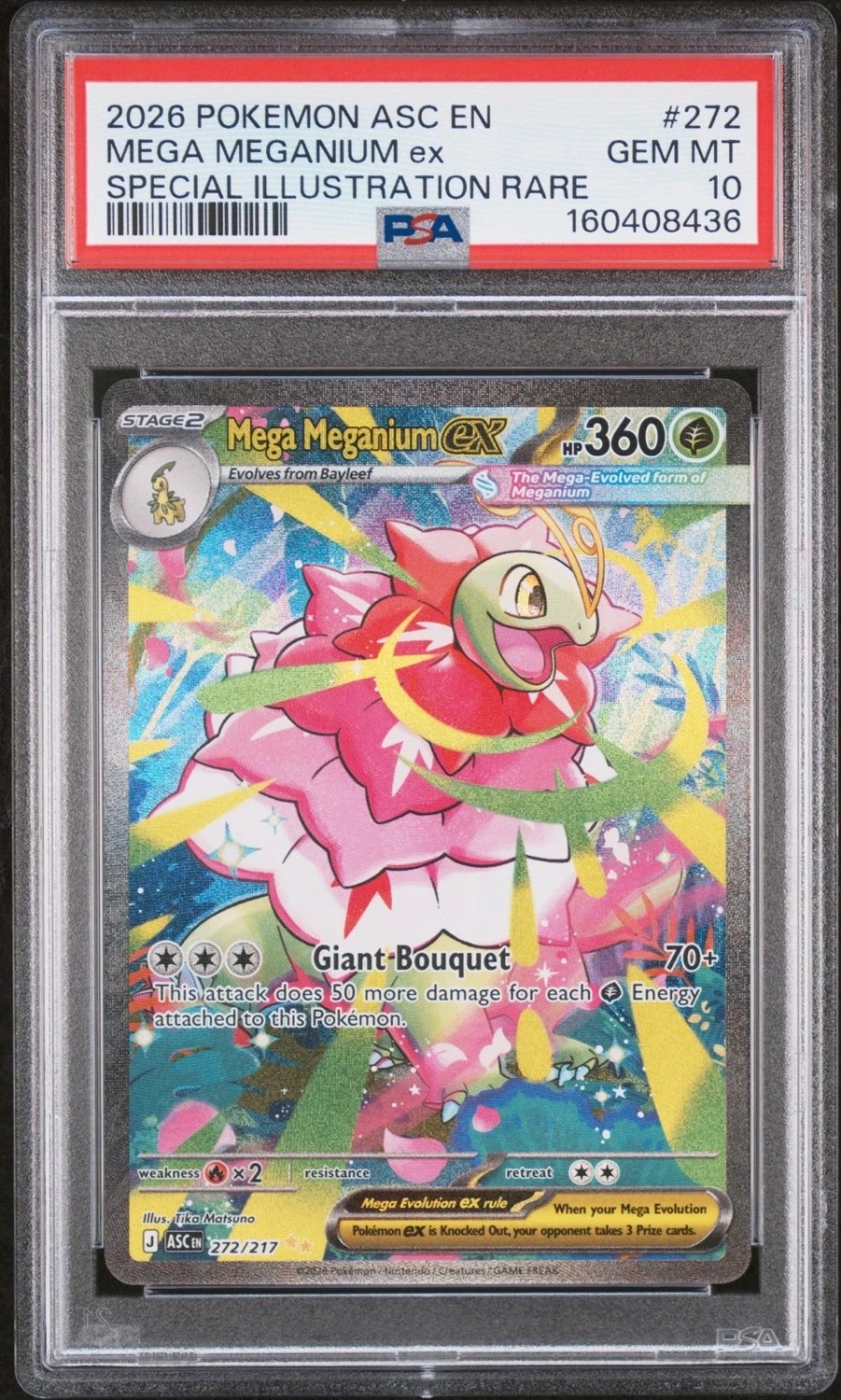 MEGA MEGANIUM ex