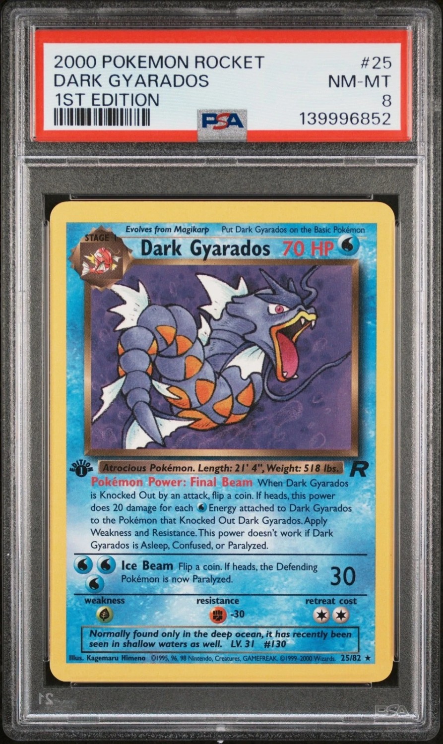 Dark Gyarados
