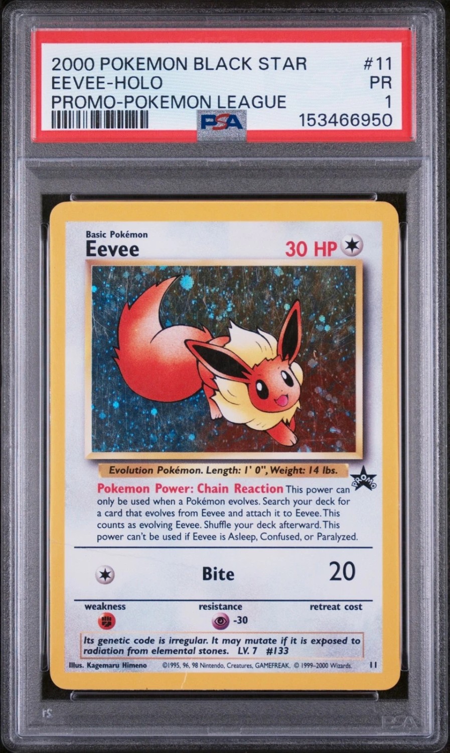 Eevee