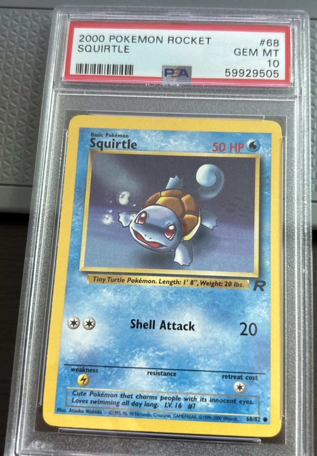 Squirtle