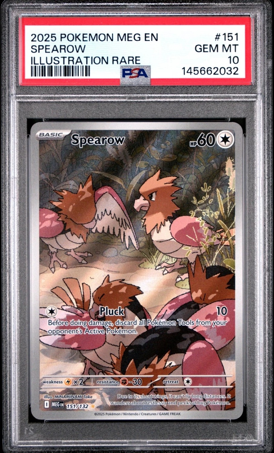 Spearow