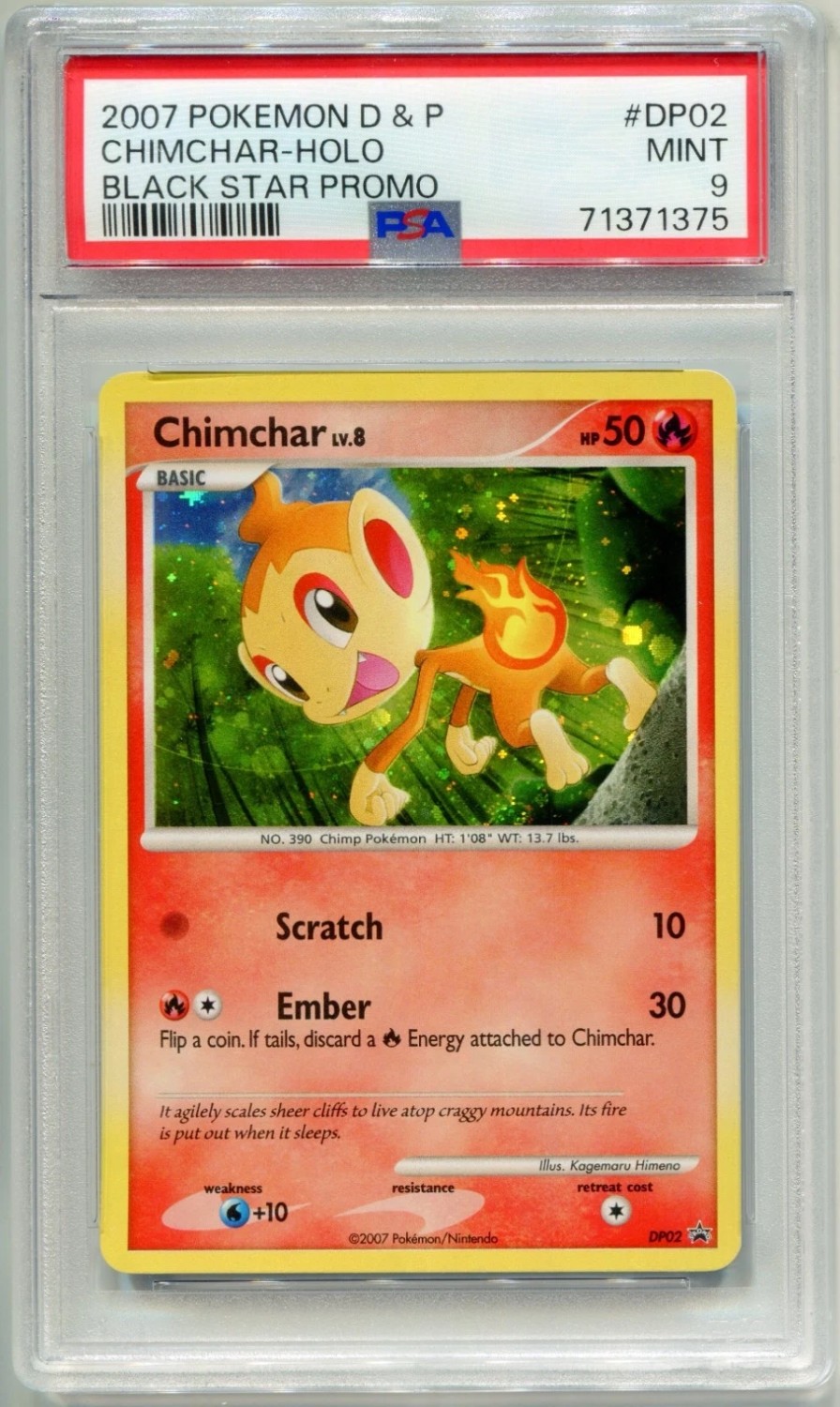 Chimchar