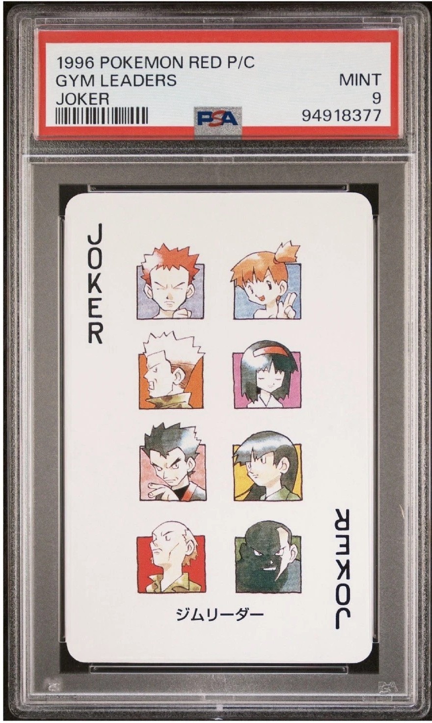 GYM LEADERS