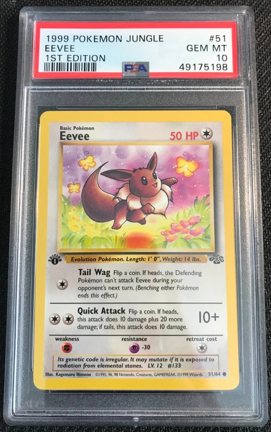 Eevee