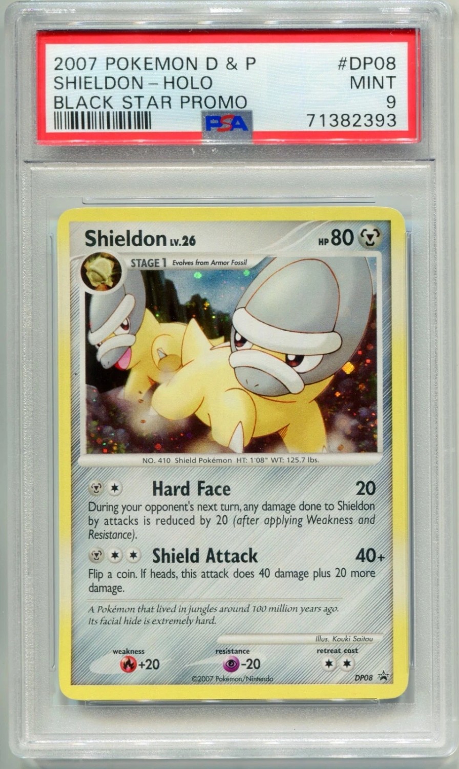 Shieldon