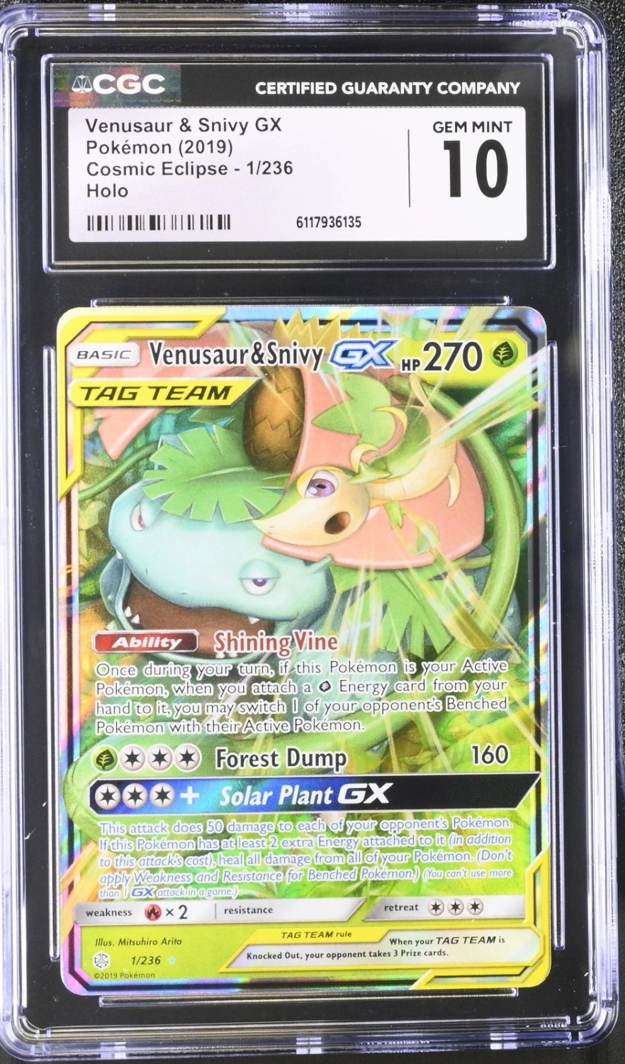 Venusaur & Snivy GX