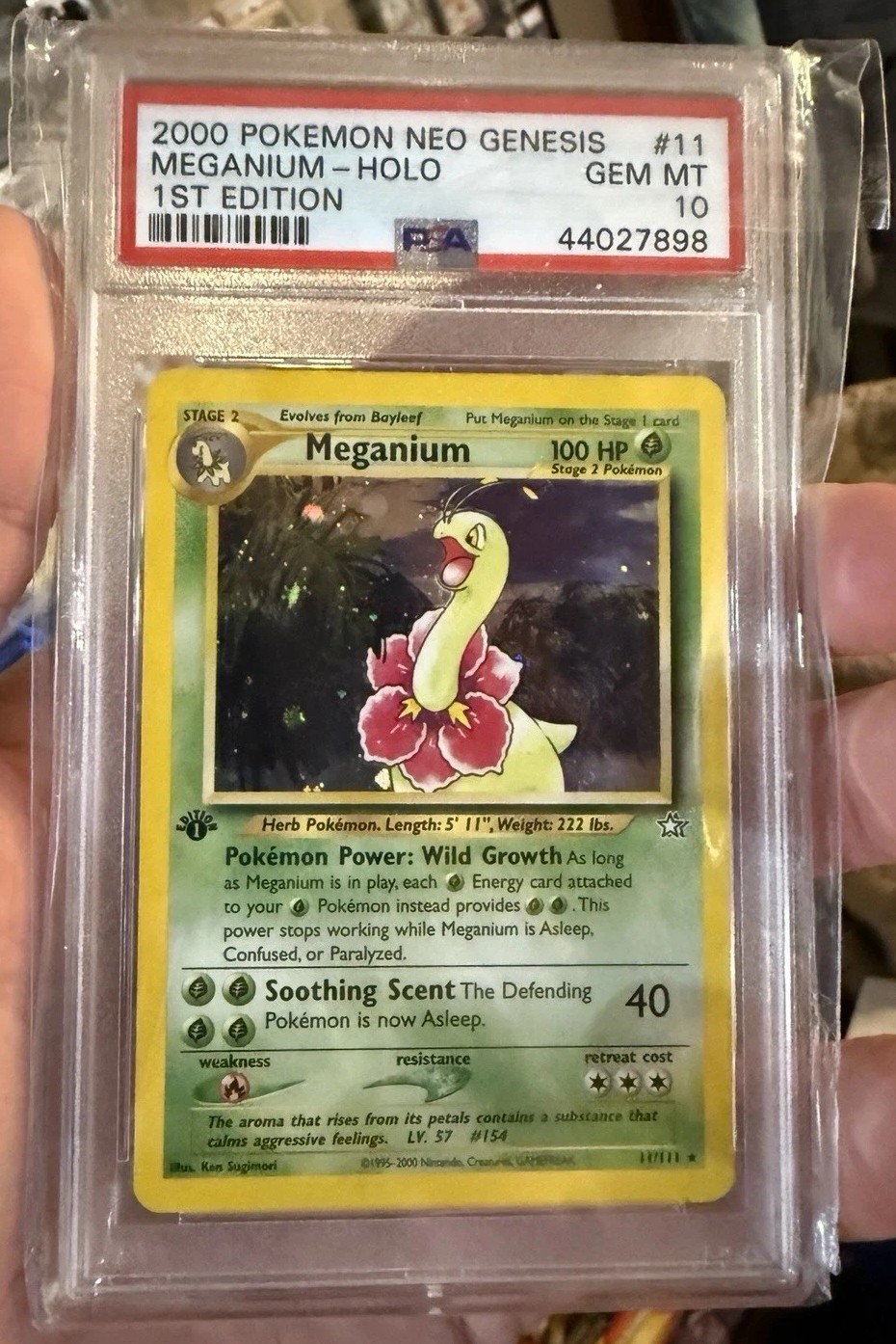 Meganium