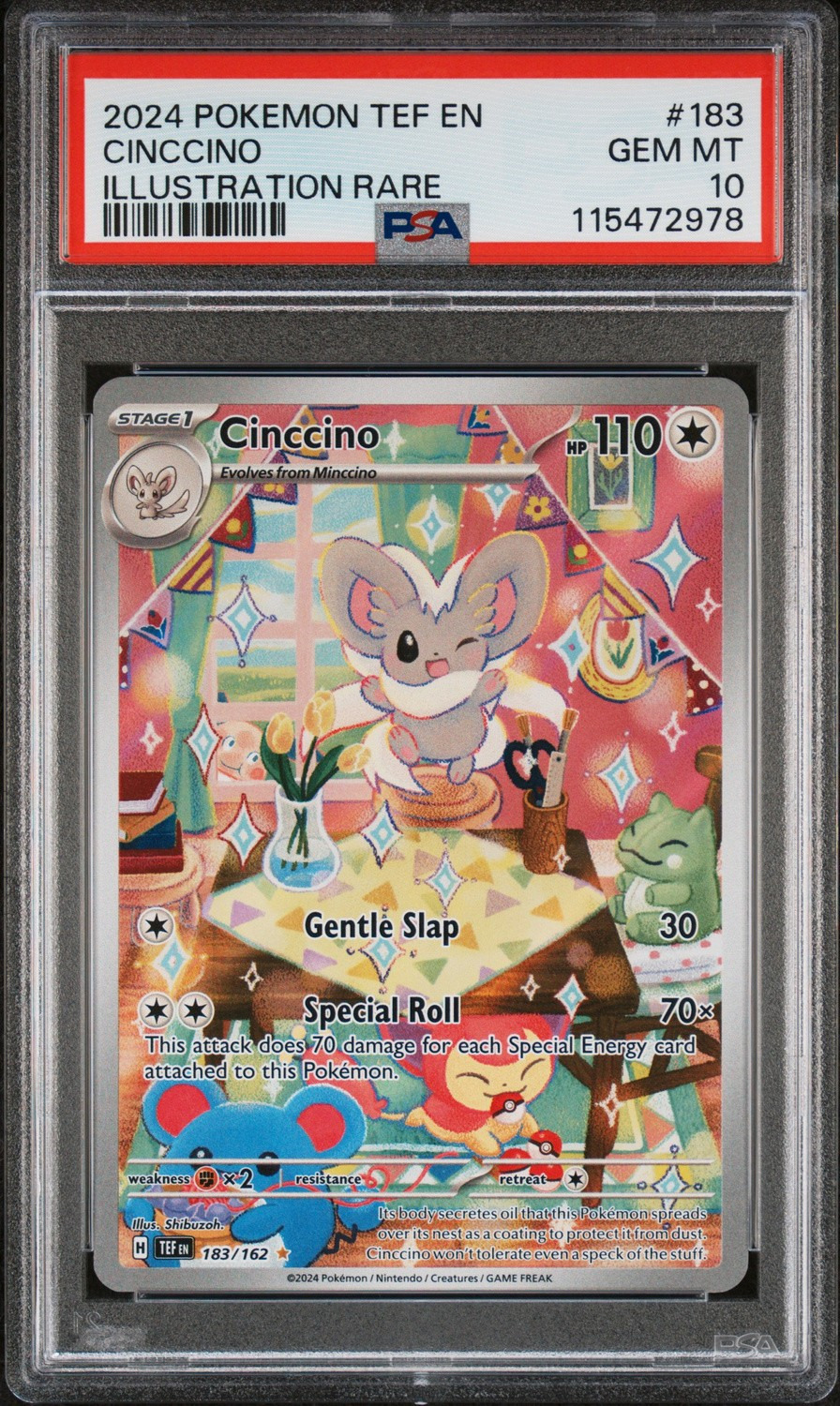 Cinccino